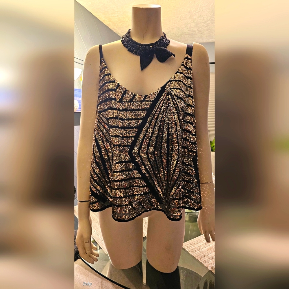 Plus size sparkling blouse
